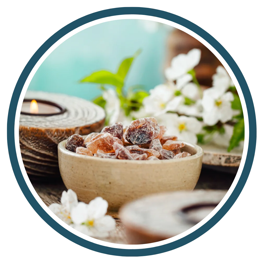 Health-Wellness-Segments