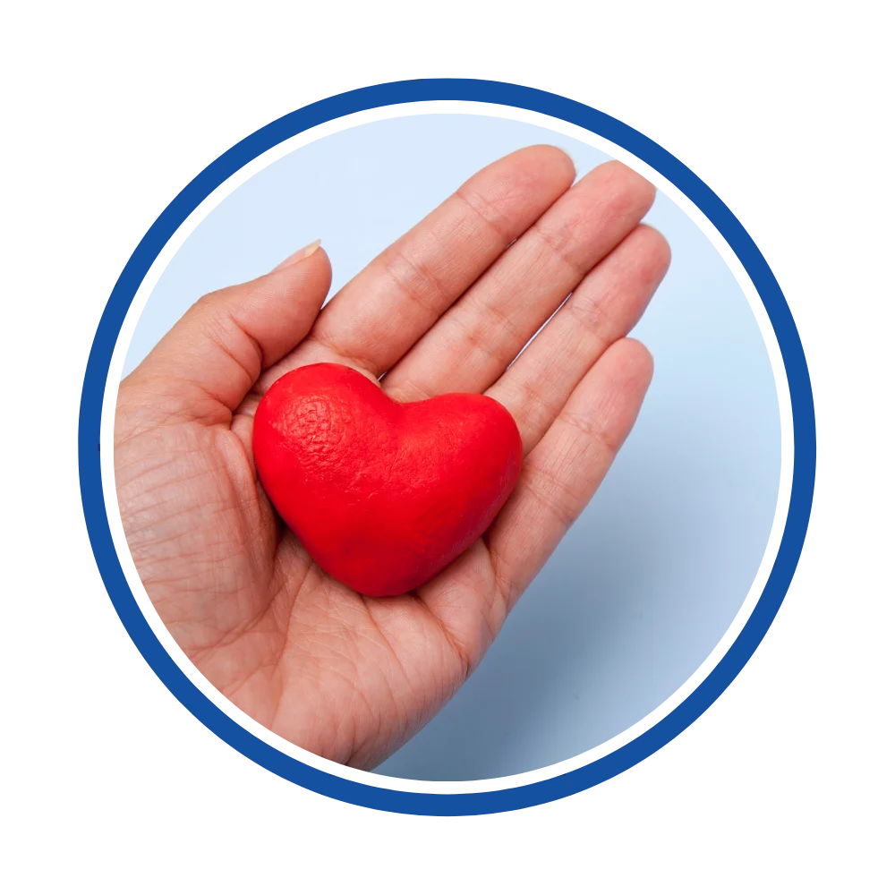 Nonprofit Donor Acquisition