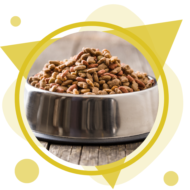 Pet-Food-Products